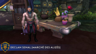 Aperçu de Declan Senal « maître des herboristes » à Boralus apercu_bfa_emplacement_herboristerie_declan_alliance