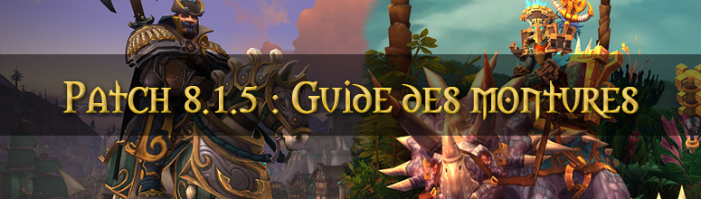 header_bfa_guide_montures_patch815