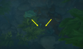 screenshot_bfa_enigme_monture_consciencecollective_boralus_grotte