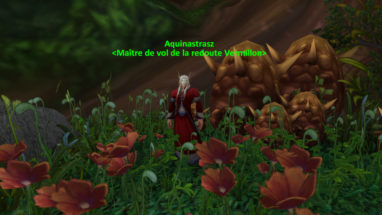 screenshot_bfa_secret_ceinture_aquinastrasz