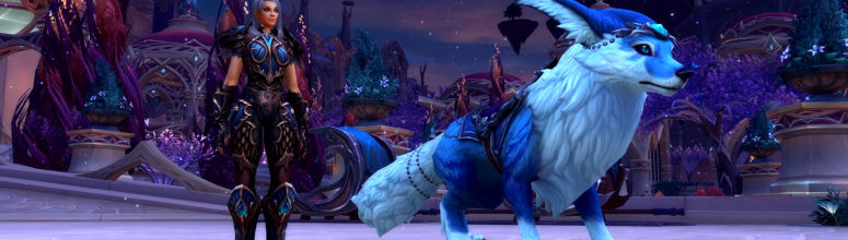 background_bfa_monture_boutique_familiervulpin