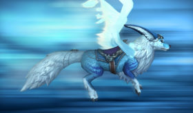 thumb_bfa_monture_boutique_familiervulpin03