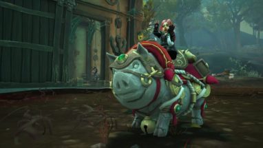 apercu_monture_boutique_gorus