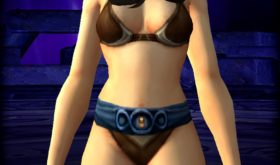 apercu_visuel_ceinturedarchimage