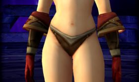 apercu_visuel_gantsdufeudenfer