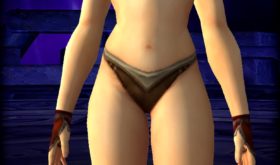 apercu_visuel_gantsengangretoffe