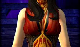 apercu_visuel_giletenetoffecendree