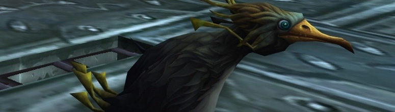 header_bfa_bastonnade_rueepingouins