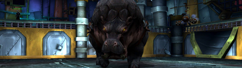 header_bfa_bastonnade_senya