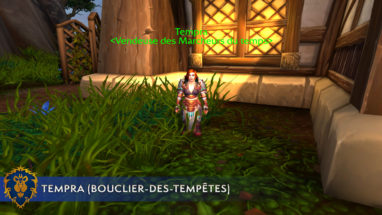 screenshot_emplacement_intendant_marcheurdutemps_warlords_alliance