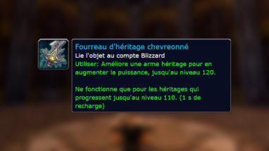 thumb_bfa_ameliorationheritage_arme