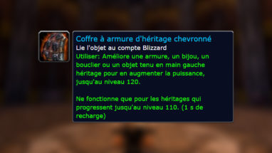 thumb_bfa_ameliorationheritage_armure