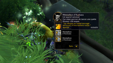 thumb_expedition_assaut_medaillonazshara_patch815