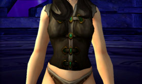 Aperçu de la chemise : Chemise du champion incontesté apercu_chemise_bastonneurs_championinconteste