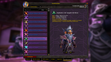 apercu_interface_transformations_duplicateur