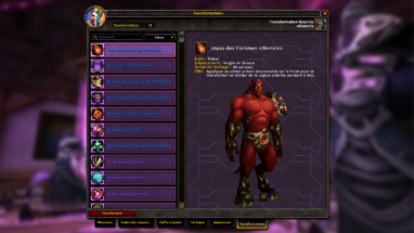 apercu_interface_transformations_joyau