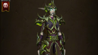 thumb_apercu_ensemblearmure_palaiseternel_cuir_heroique