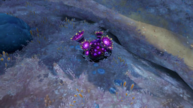 screenshot_bfa_metiers_zinanthide_herboristerie01