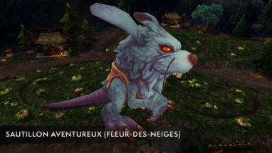 apercu_bfa_mascotte_exploration_sautillonaventureux