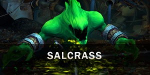 Salcrass : guide stratégique du combat bouton_boss_bfa_mecagone_salcrass