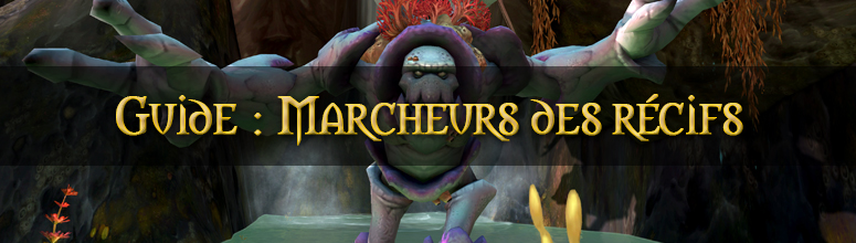 header_bfa_nazjatar_marcheurrecifs