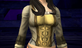 apercu_apparence_bfa_chemise_brodee