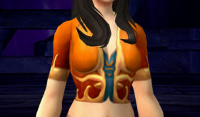 apercu_apparence_bfa_chemise_filigraneambre