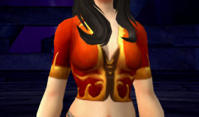 apercu_apparence_bfa_chemise_filigraneecarlate