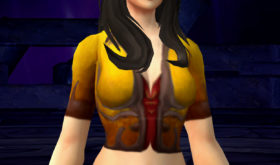 apercu_apparence_bfa_chemise_filigraneor