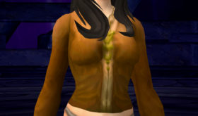 apercu_apparence_bfa_chemise_marronclassique