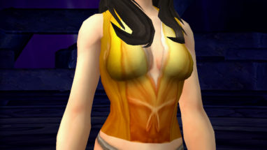 apercu_apparence_bfa_chemise_precieuxpolo