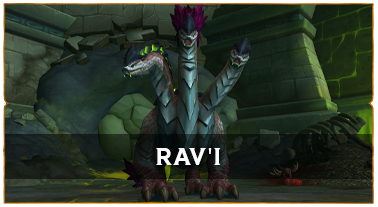 Rav'i : guide du boss